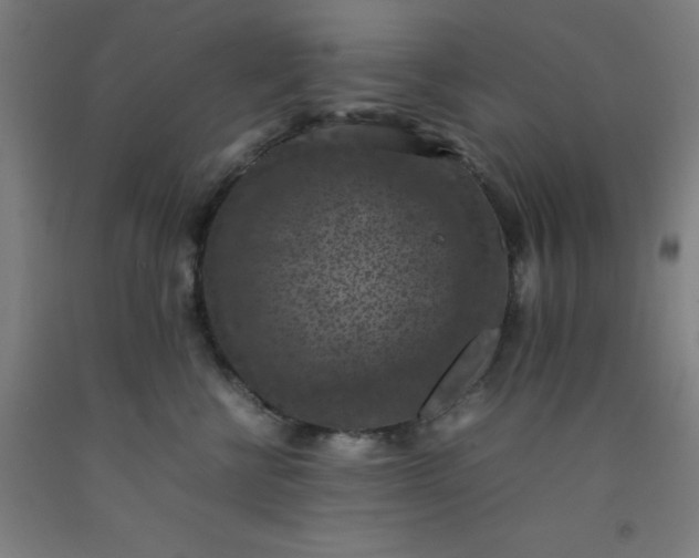 X0000092220570200709281046