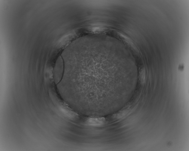 X0000092220571200709281046