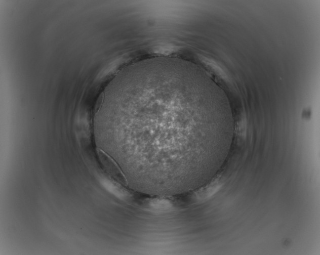 X0000092220572200709281046