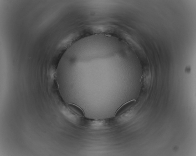 X0000092220574200709281046