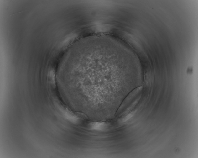 X0000092220575200709281046