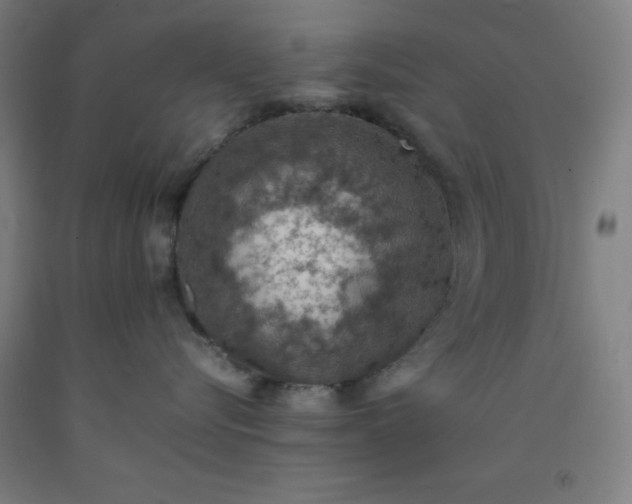 X0000092220576200709281046
