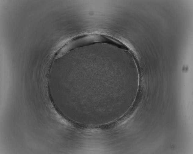 X0000092220577200709281045