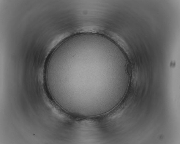X0000092220578200709281045