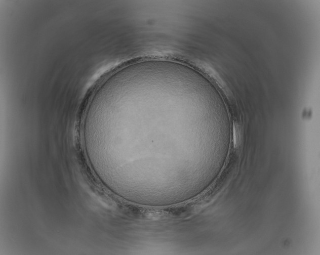 X0000092220579200709281045