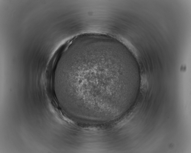 X0000092220580200709281045