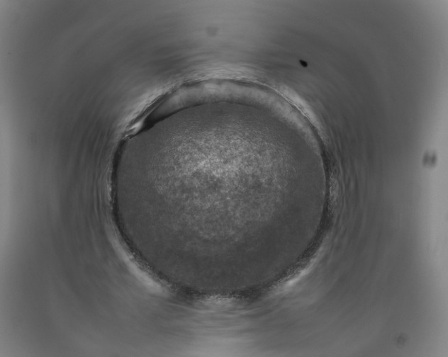 X0000092220581200709281045