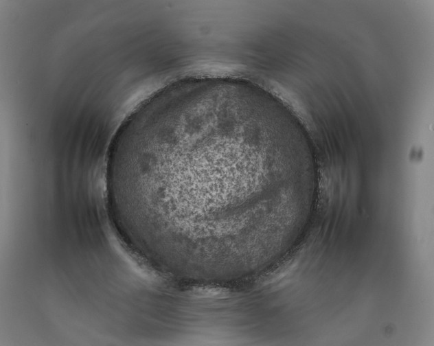X0000092220582200709281045