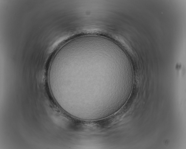 X0000092220583200709281045