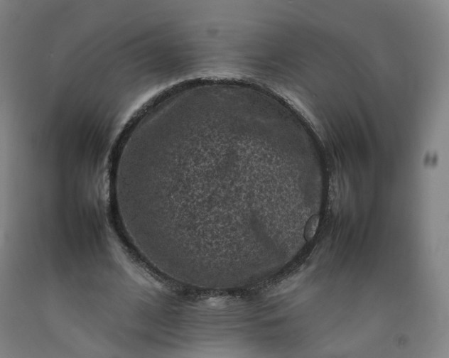 X0000092220584200709281045