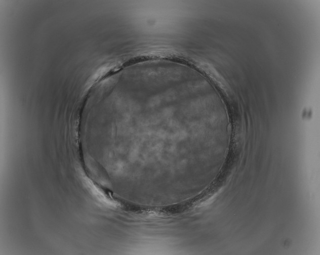 X0000092220585200709281045