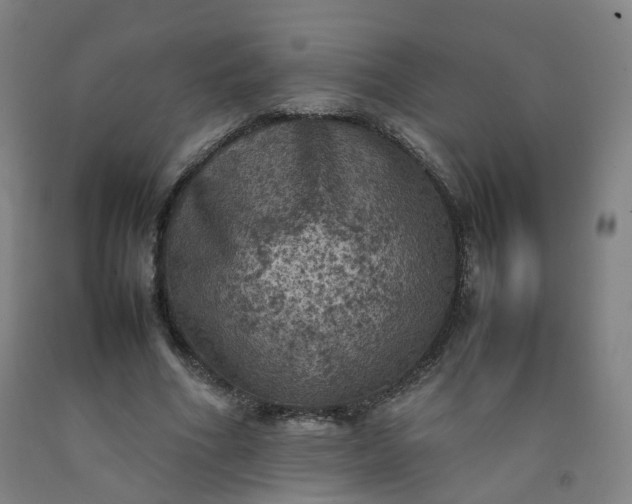 X0000092220586200709281045
