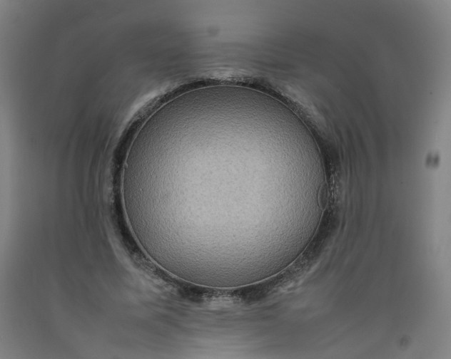 X0000092220587200709281045