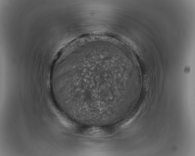X0000092220589200709281045