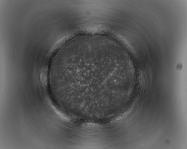 X0000092220590200709281045