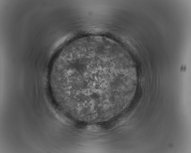 X0000092220591200709281045