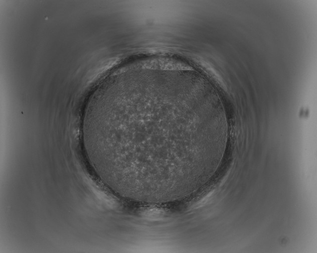 X0000092220593200709281045