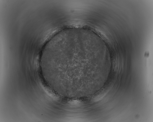 X0000092220594200709281045