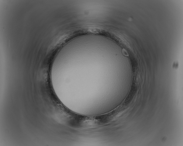 X0000092220595200709281045