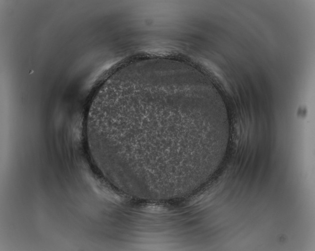 X0000092220596200709281045