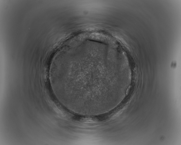 X0000092220597200709281045