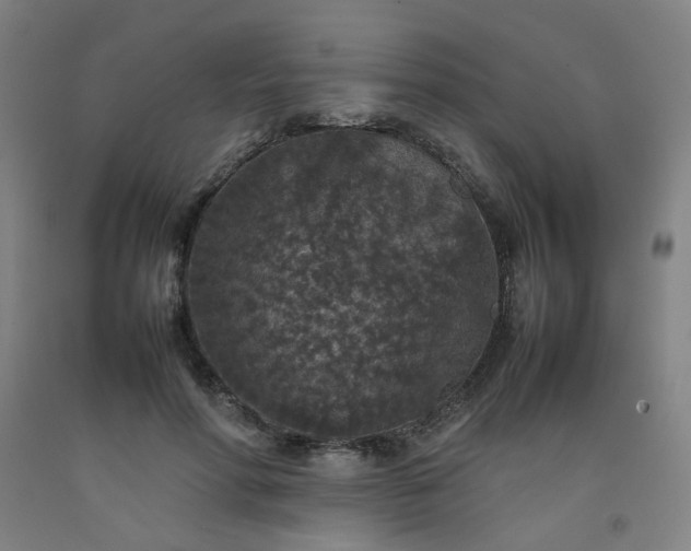 X0000092220598200709281045
