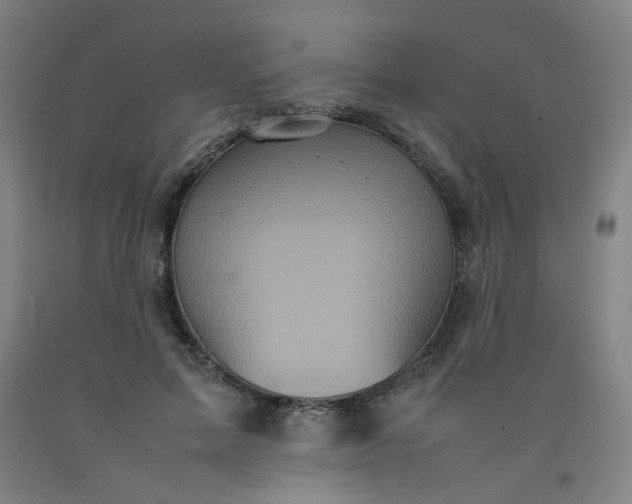 X0000092220599200709281045