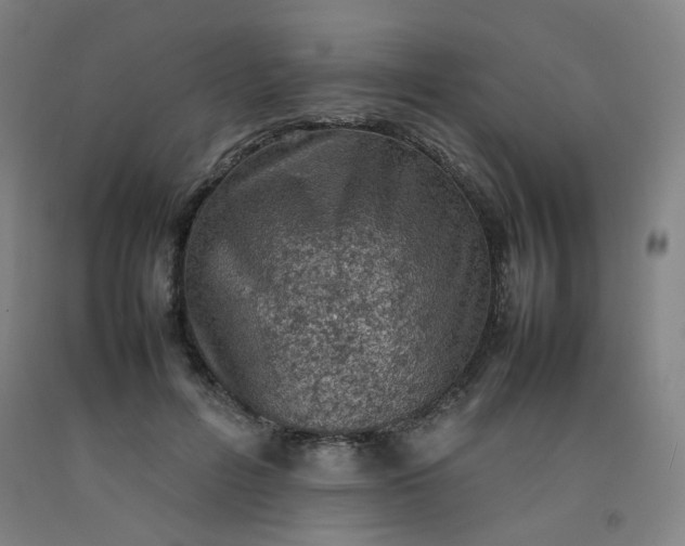 X0000092220600200709281045