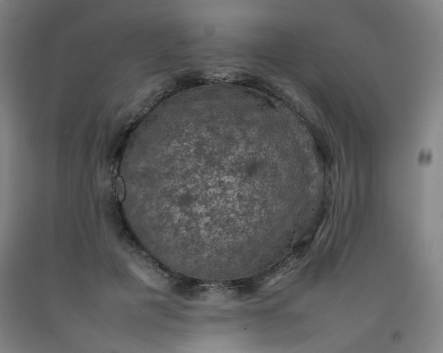 X0000092220601200709281045