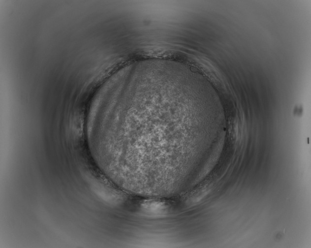X0000092220602200709281045