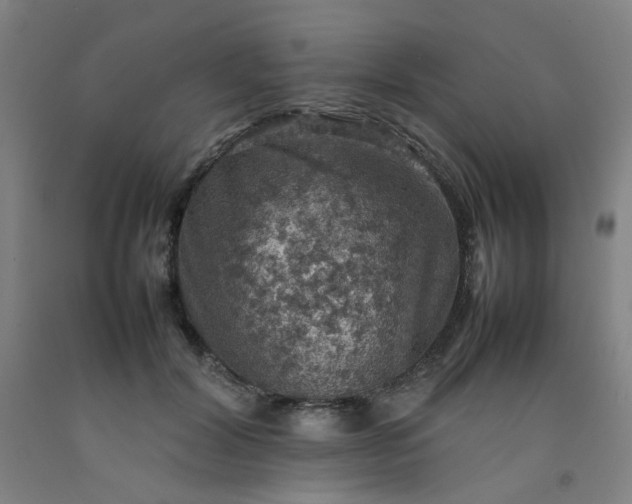 X0000092220604200709281045