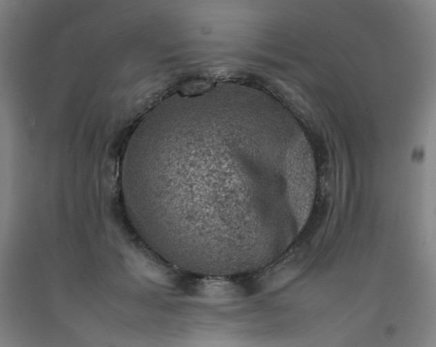 X0000092220605200709281045