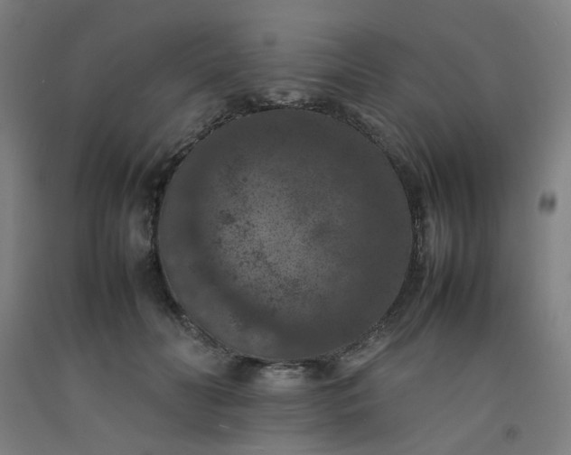 X0000092220606200709281045