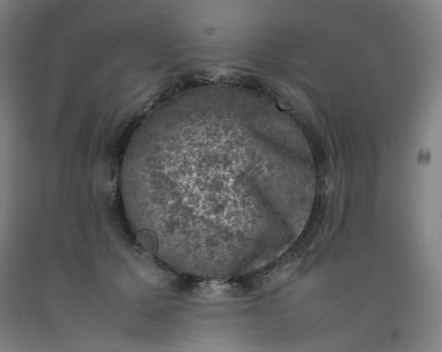 X0000092220607200709281045