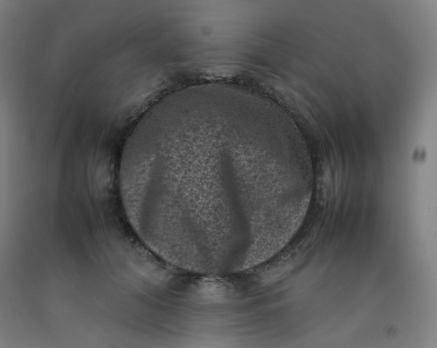 X0000092220608200709281045