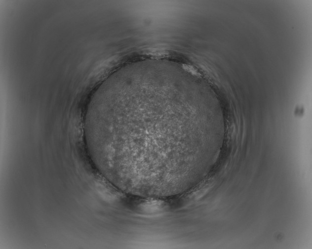 X0000092220609200709281045