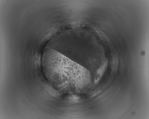 X0000092220610200709281045