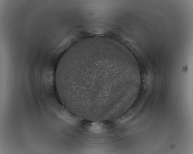 X0000092220612200709281045