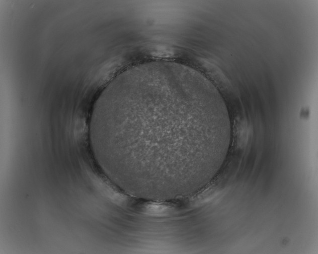X0000092220614200709281045