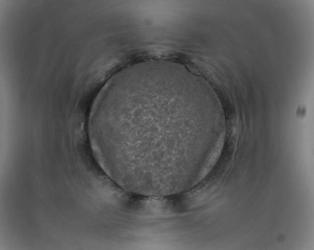 X0000092220615200709281044