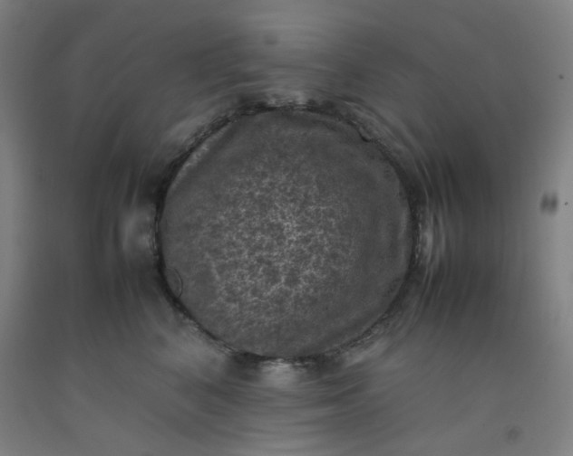 X0000092220616200709281044