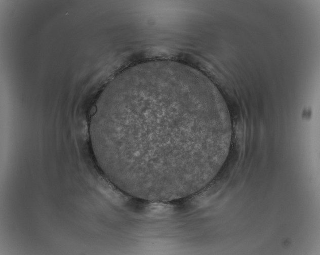 X0000092220617200709281044
