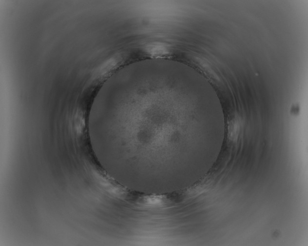 X0000092220618200709281044