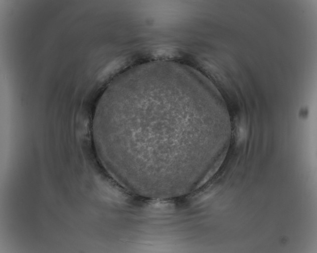 X0000092220619200709281044