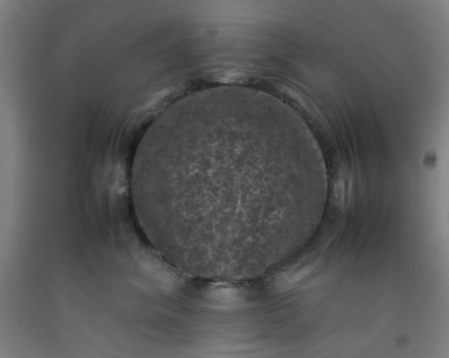 X0000092220620200709281044