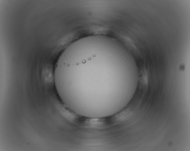 X0000092220622200709281044