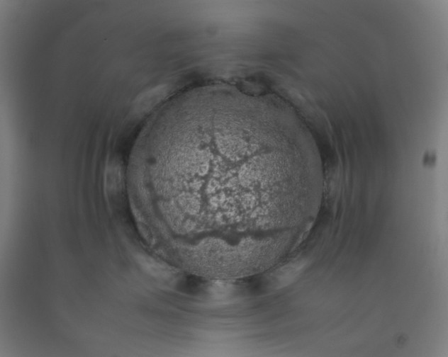 X0000092220623200709281044