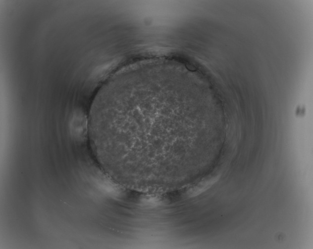 X0000092220624200709281044