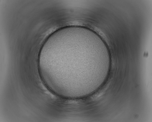 X0000092220625200709281044