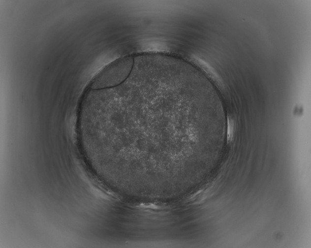 X0000092220627200709281044